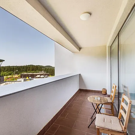 Apartment Pine Woods D113 In Silver Mountain