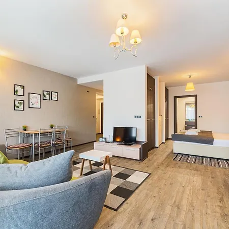 Pine Woods D113 In Silver Mountain Apartment