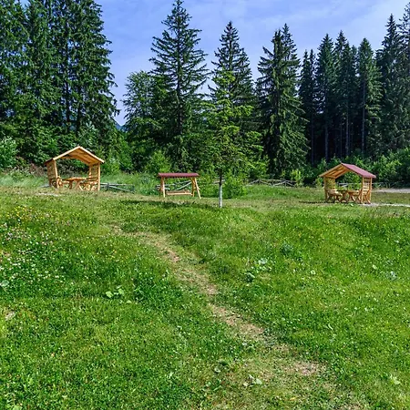Pine Woods D113 In Silver Mountain *